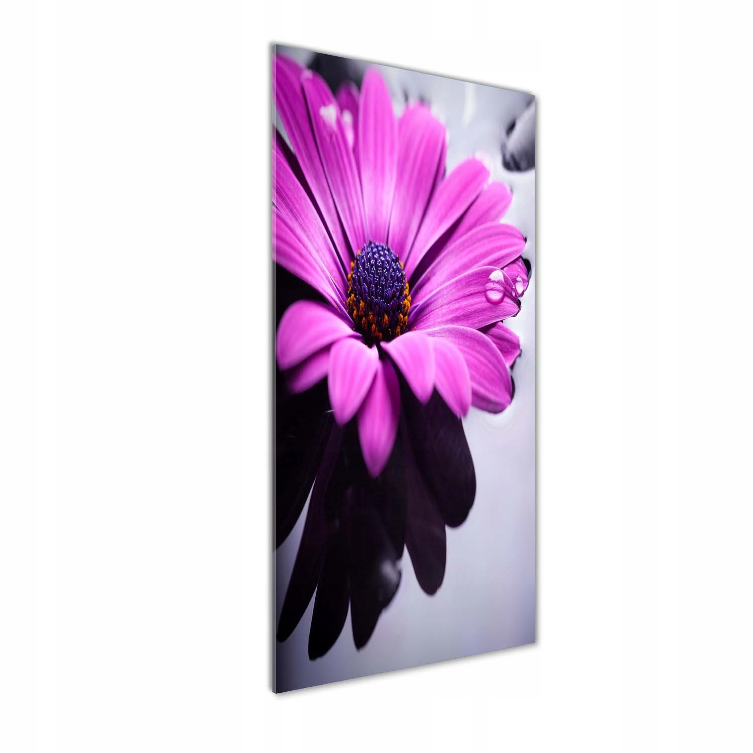 

Foto obraz akryl do salonu Różowa gerbera 50x125cm