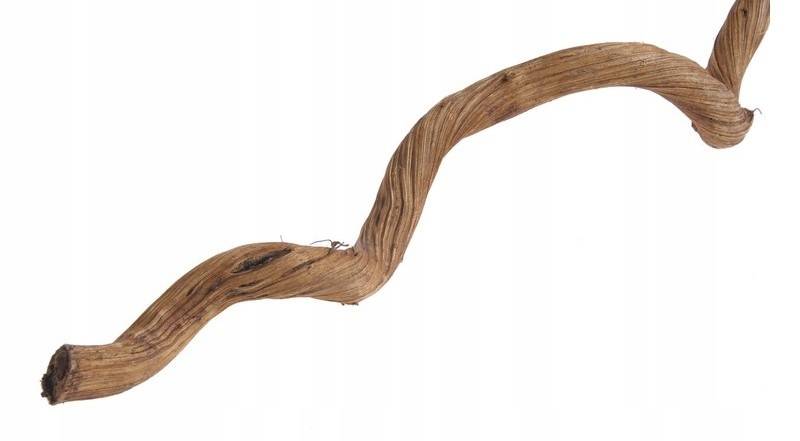 

Liana Axis 1-2cm Krótka 50cm