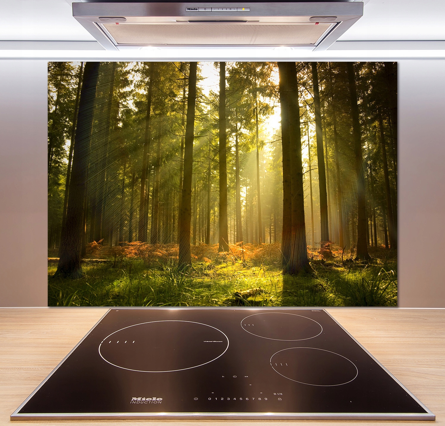 

Panel dekor szkło Las w słońcu 100x70 cm + Klej