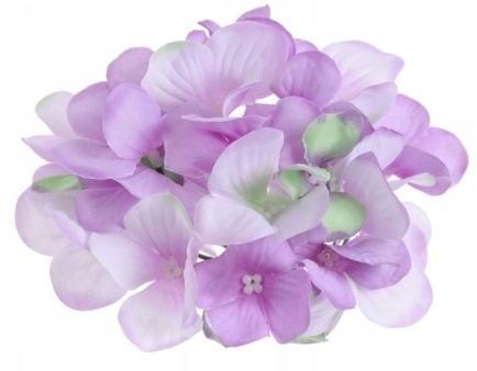 

Hortensja Główka Lawendowa Z Dodatkiem Mięty