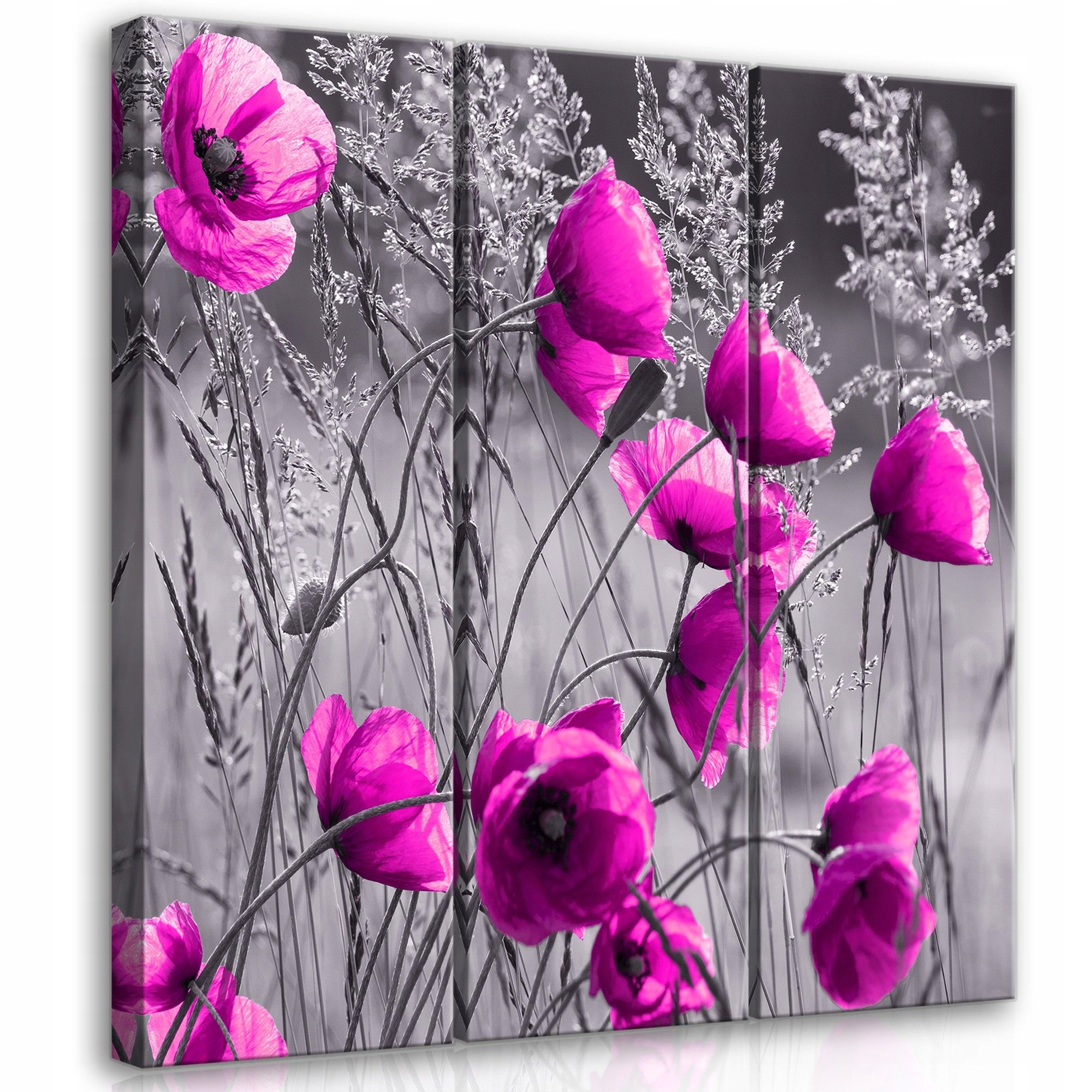 Obraz 90x100 Máky růžové máky šedé pozadí květiny příroda léto moderní