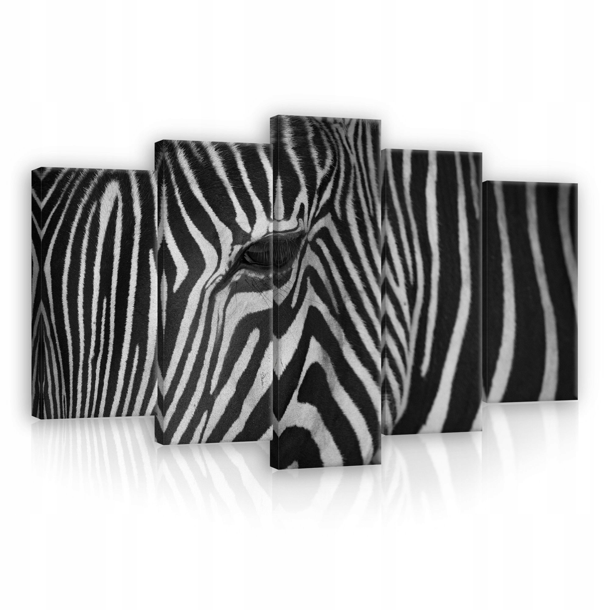 Obraz 100x60 Zebra pruhy černobílé zvíře příroda grafika dynamika