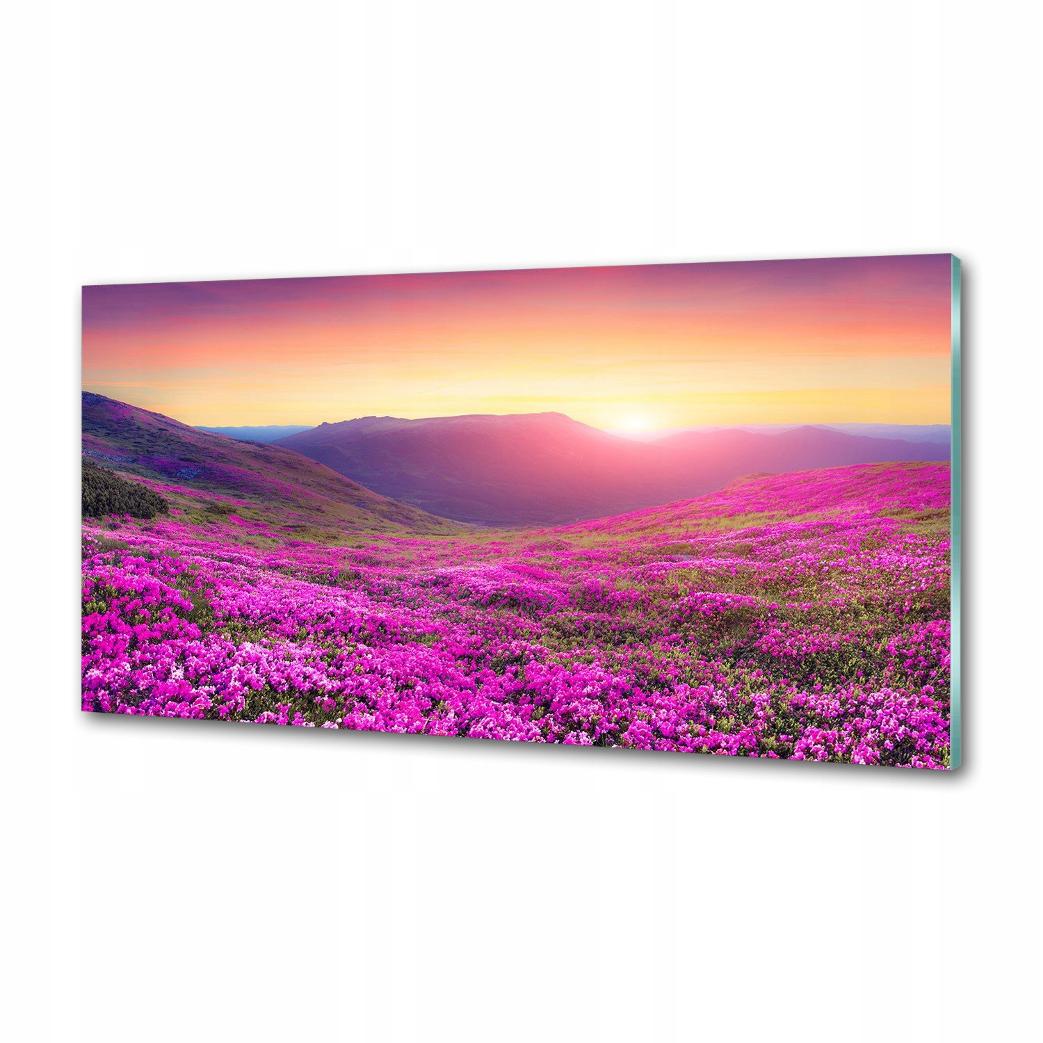 Panel do kuchyně Růžové kopce 120x60 cm Lepidlo