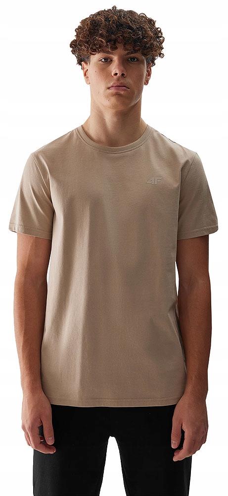 KOSZULKA MĘSKA 4F T-SHIRT BAWEŁNIANY NA CO DZIEŃ ZESTAW 4 PAK r.L Marka 4F