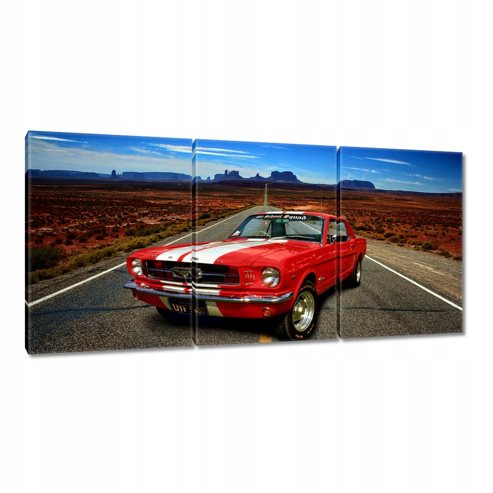 Obraz 210x100 Ford Mustang