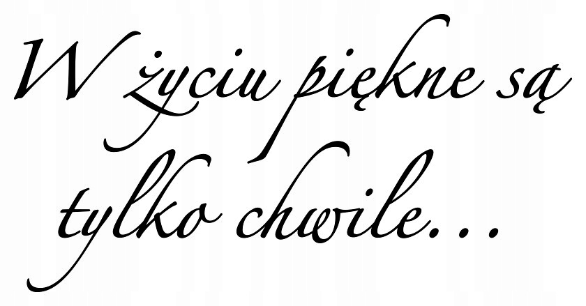 Naklejka na ścianę salonu napis cytat Dekor Nowoczesna 200x100 cm Czarna