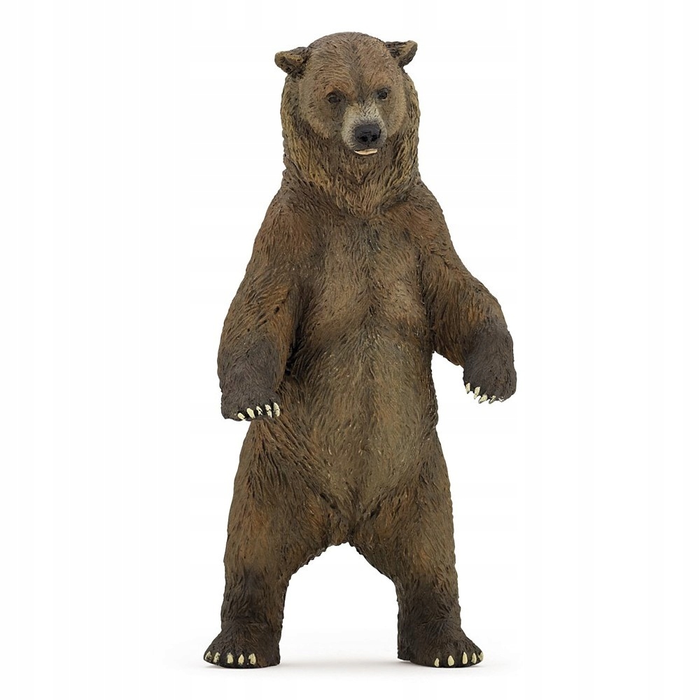 

Niedźwiedź Grizzly Grizzly bear Papo 50153