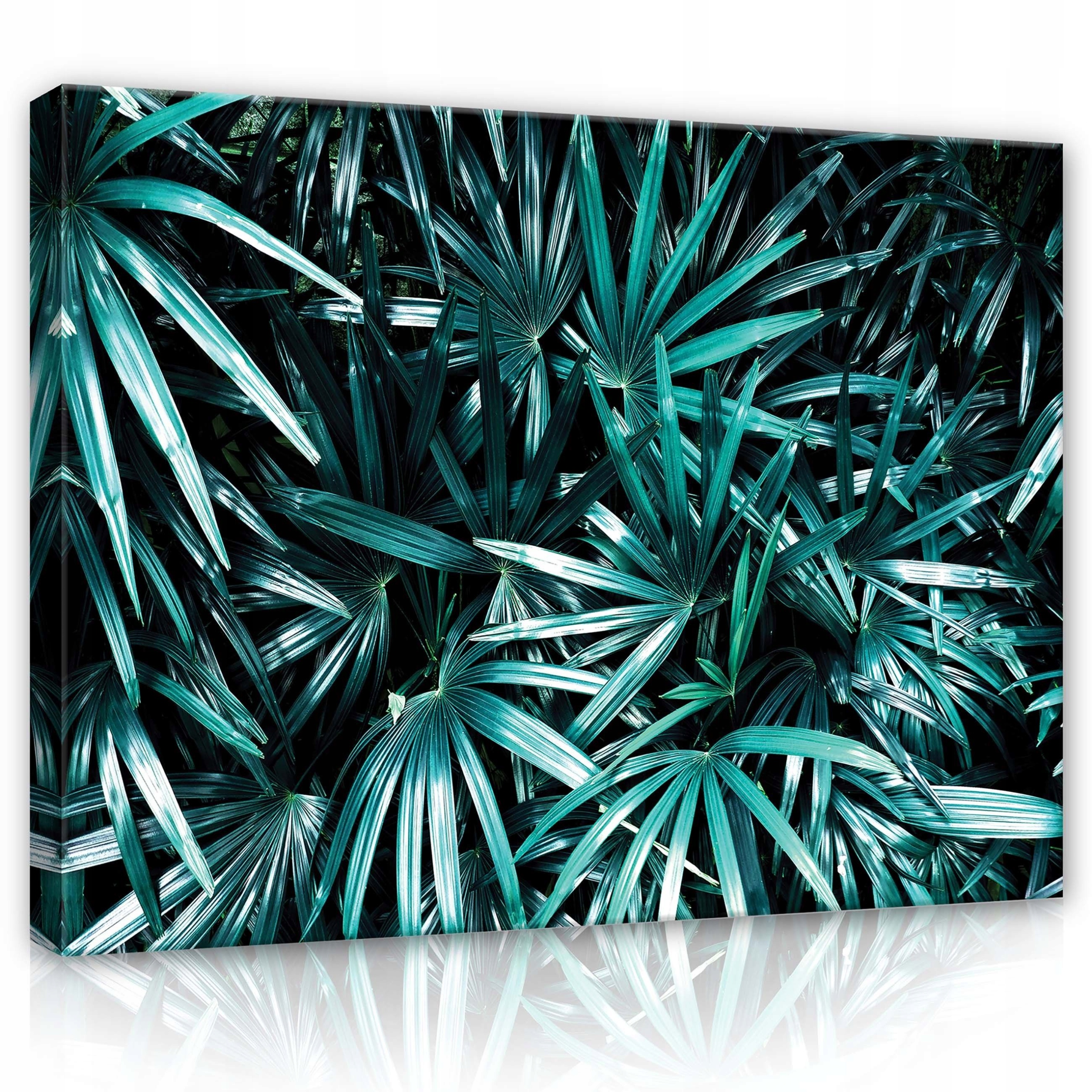 Obraz 80x60 Tropiky listy palma zeleň svěžest příroda exotika klid