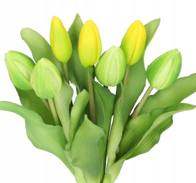 

Tulipany Bukiet Tulipanów Kwiaty Gumowe Jak Żywe