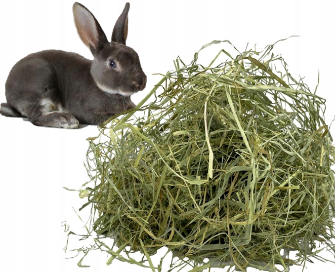 Levně Nejlepší čerstvé zelené seno pro králíka, krmivo, krmivo pro zajíčky 12 kg