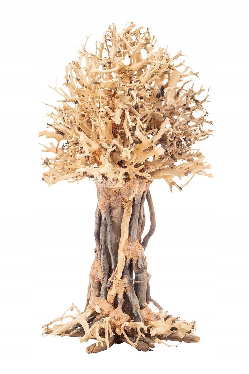 Levně Progrow Bonsai Tree Bt7L 30x20x35 cm