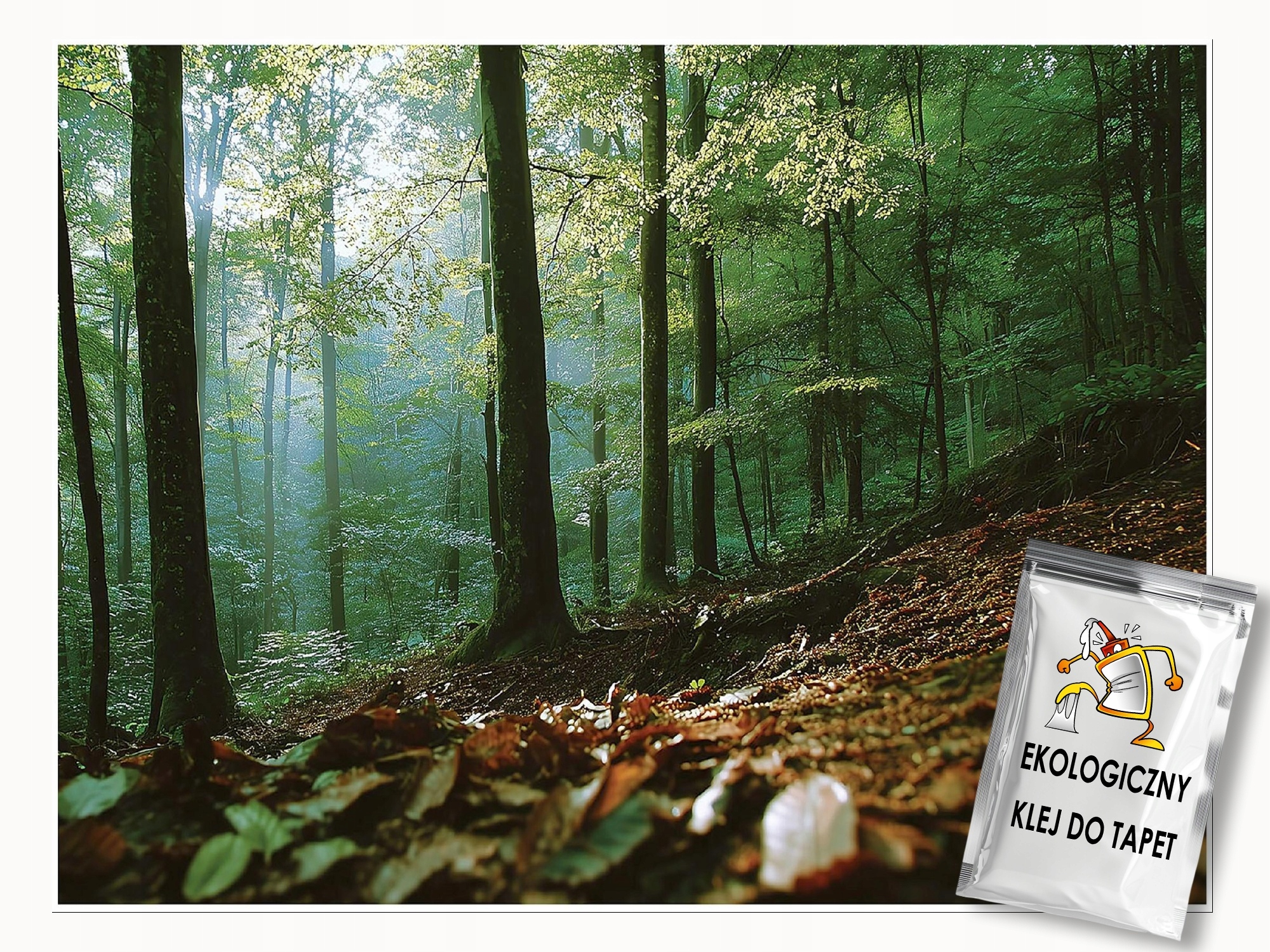 Fototapeta Les 3D Příroda Stromy Krajina Na Zeď Ložnice Obývací Pokoj 350x250