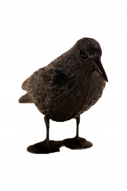 

Kruk Duży Odstraszacz Ptaków, Gołębi, Szpaków