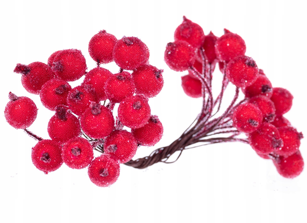 

Jarzębina z lodem owoce czerwone 40 kulek