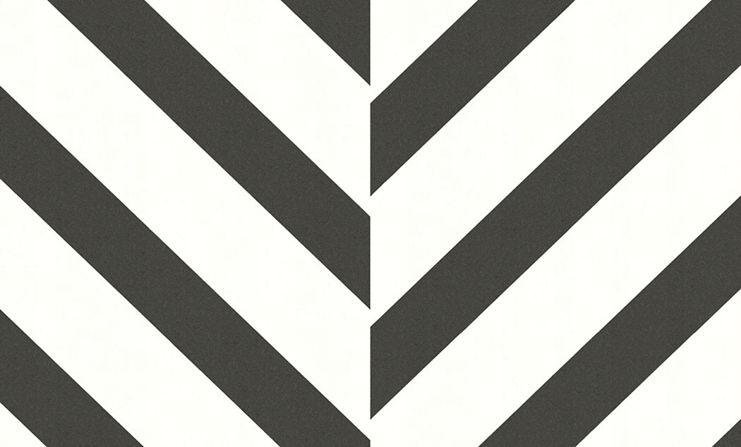 Tapeta S Jedličkou Černobílá Vinylová Na Flizelině 10,05 m x 106,00 cm