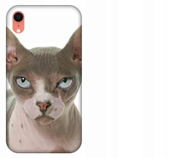 

Etui pokrowiec iPhone Xr Kot sfinks kotek