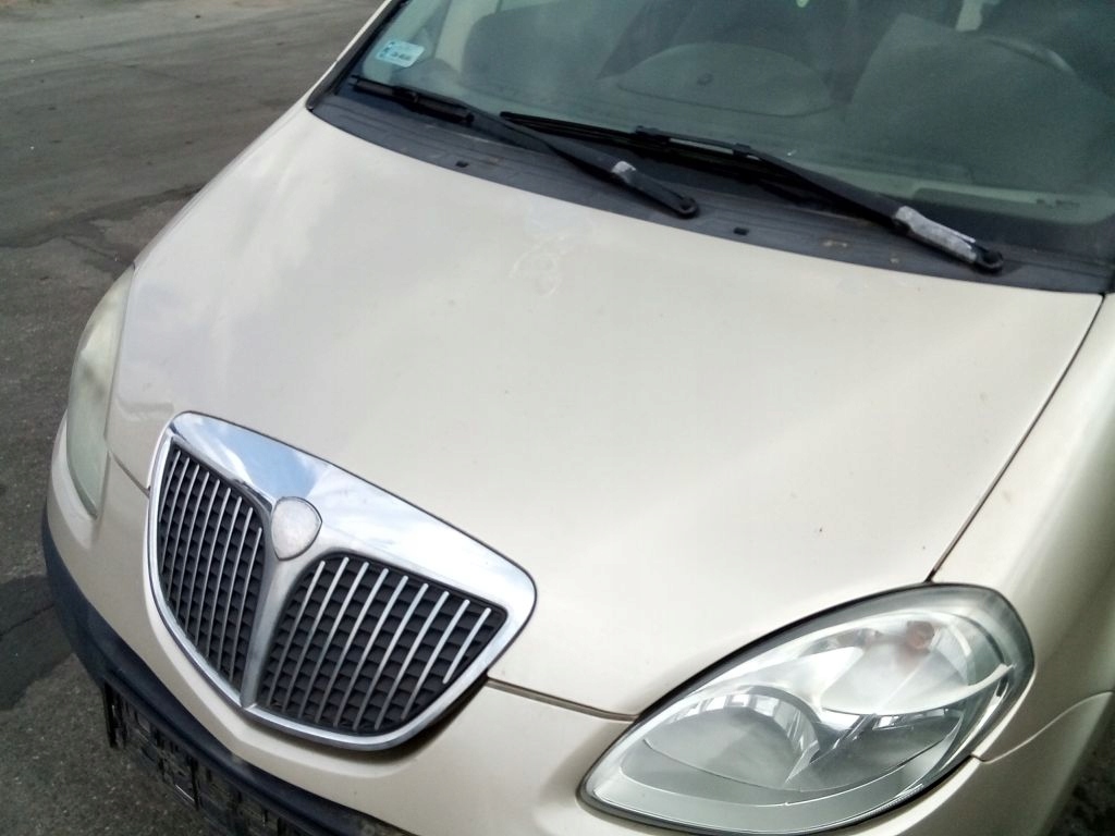 Lancia Musa Cofano