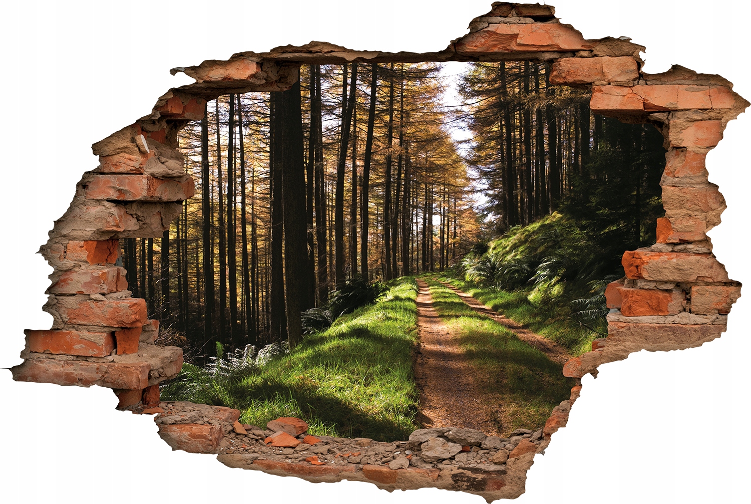 

Naklejka dziura z cegły w ścianie Fototapeta 3D