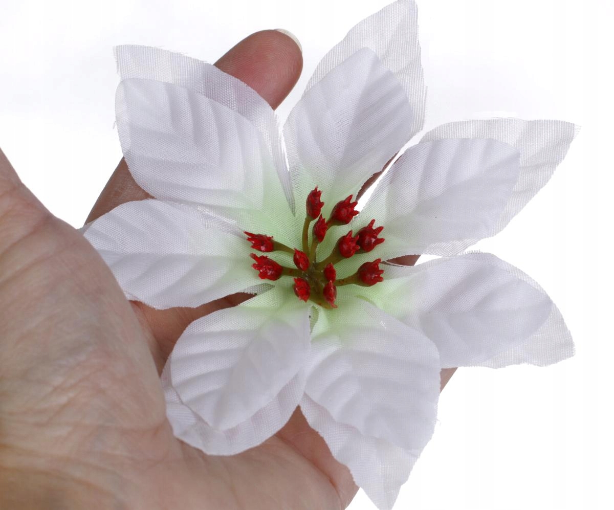 

Gwiazda betlejemska Poinsece na choinkę biała B-1