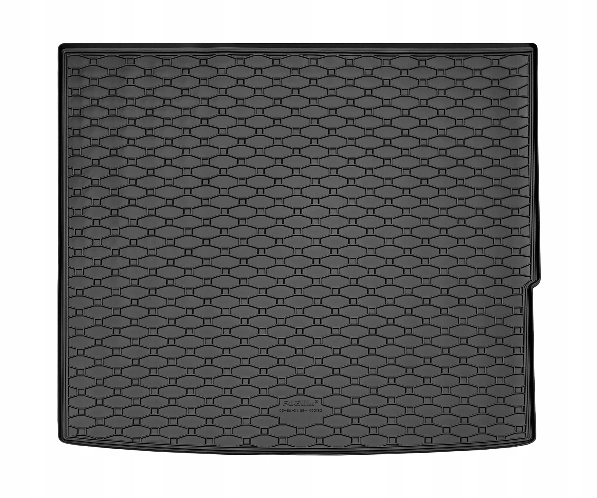 Dywaniki i mata do BMW X1 E84 2009-2015 Producent Rigum