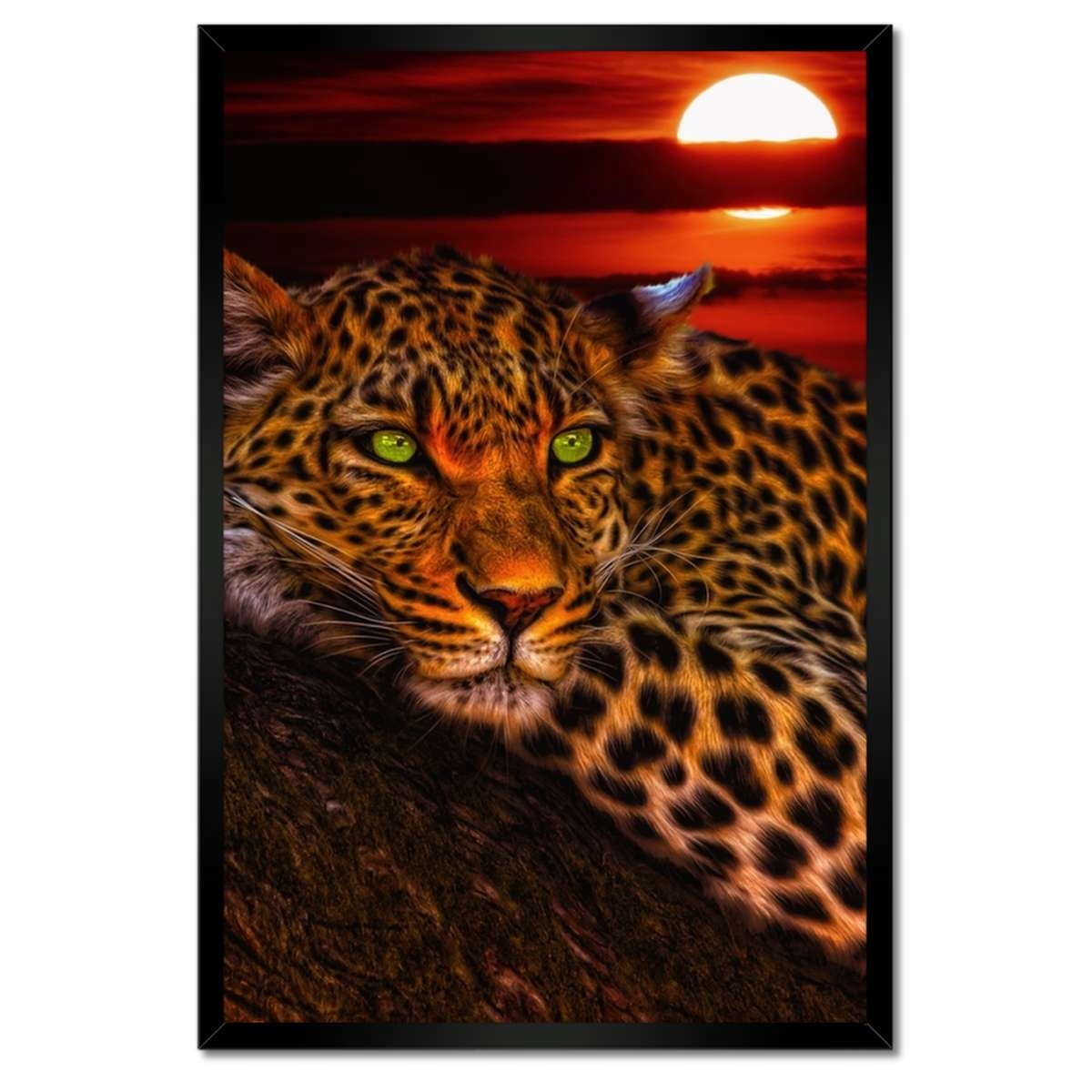 Plakáty v rámu 40x60 Leopard pantera