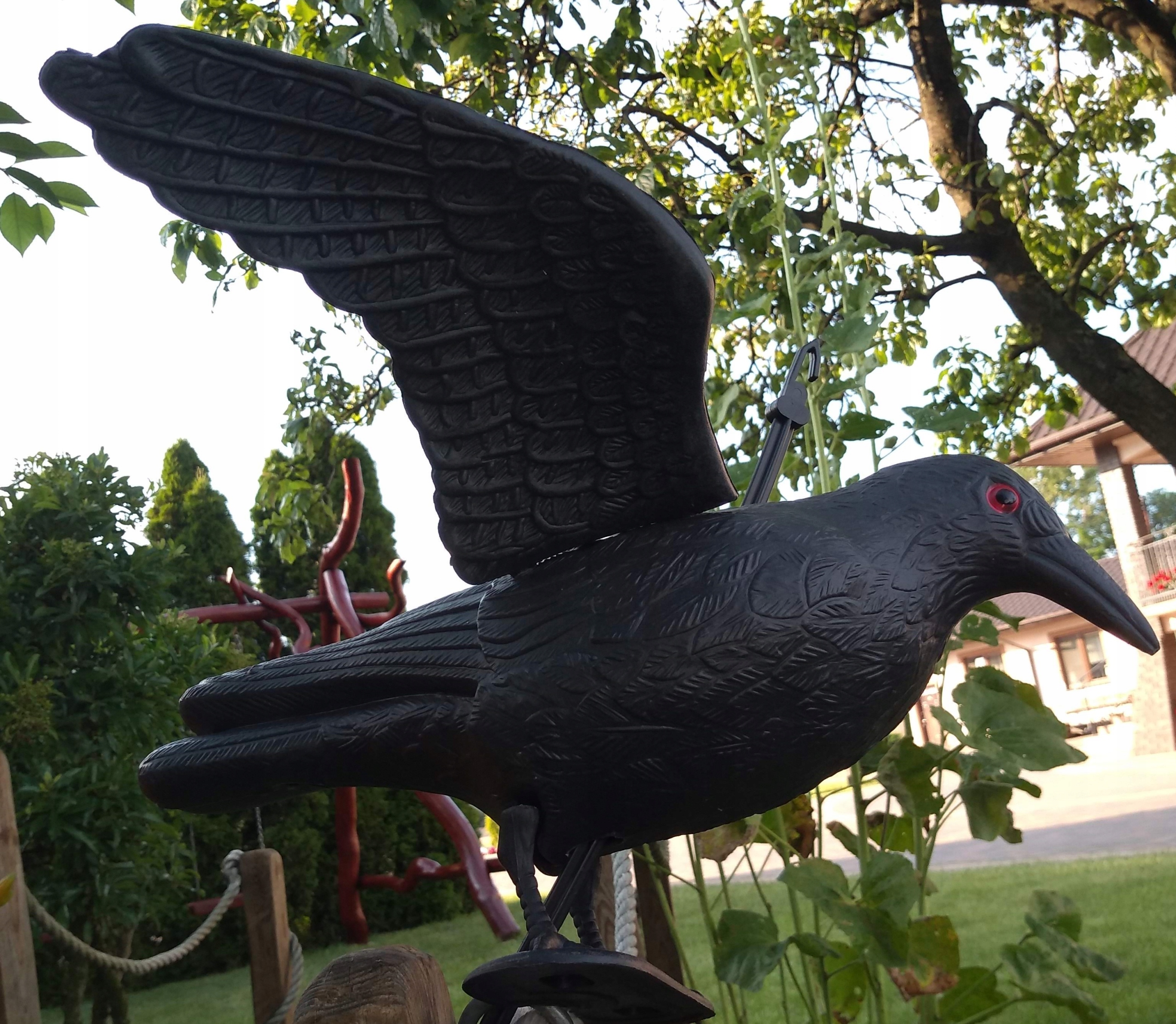 Duży kruk do lotu odstraszacz kolor oczy !! Marka Fingarden