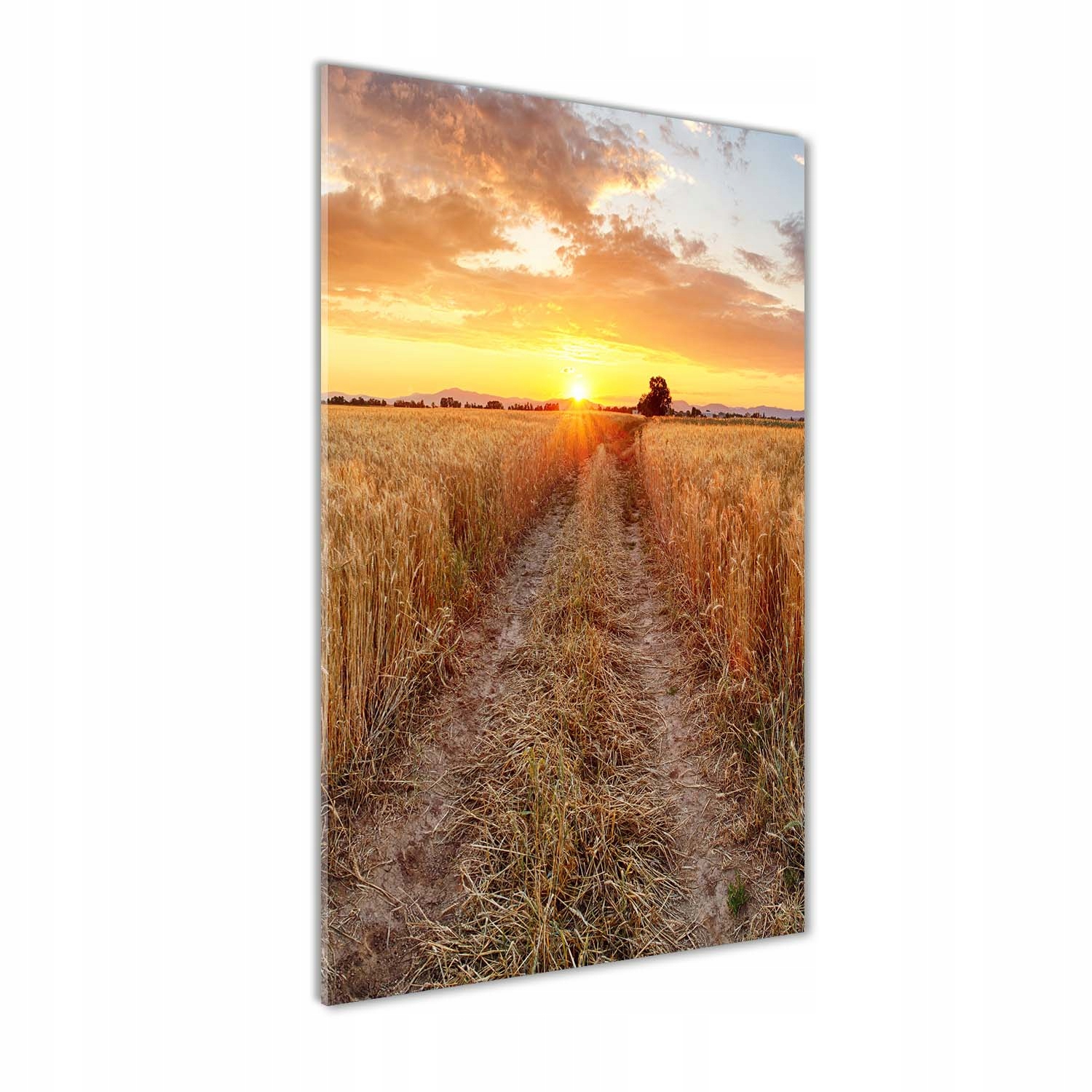 

Foto obraz szkło hartowane Pole pszenicy 60x120 cm