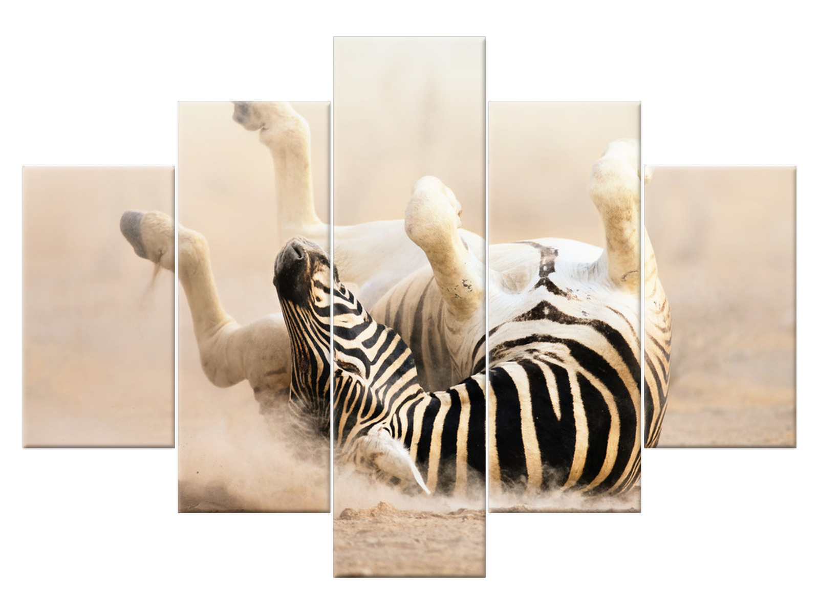 

Obraz na płótnie Zebra 150x105 Pejzaż 1173A_5H