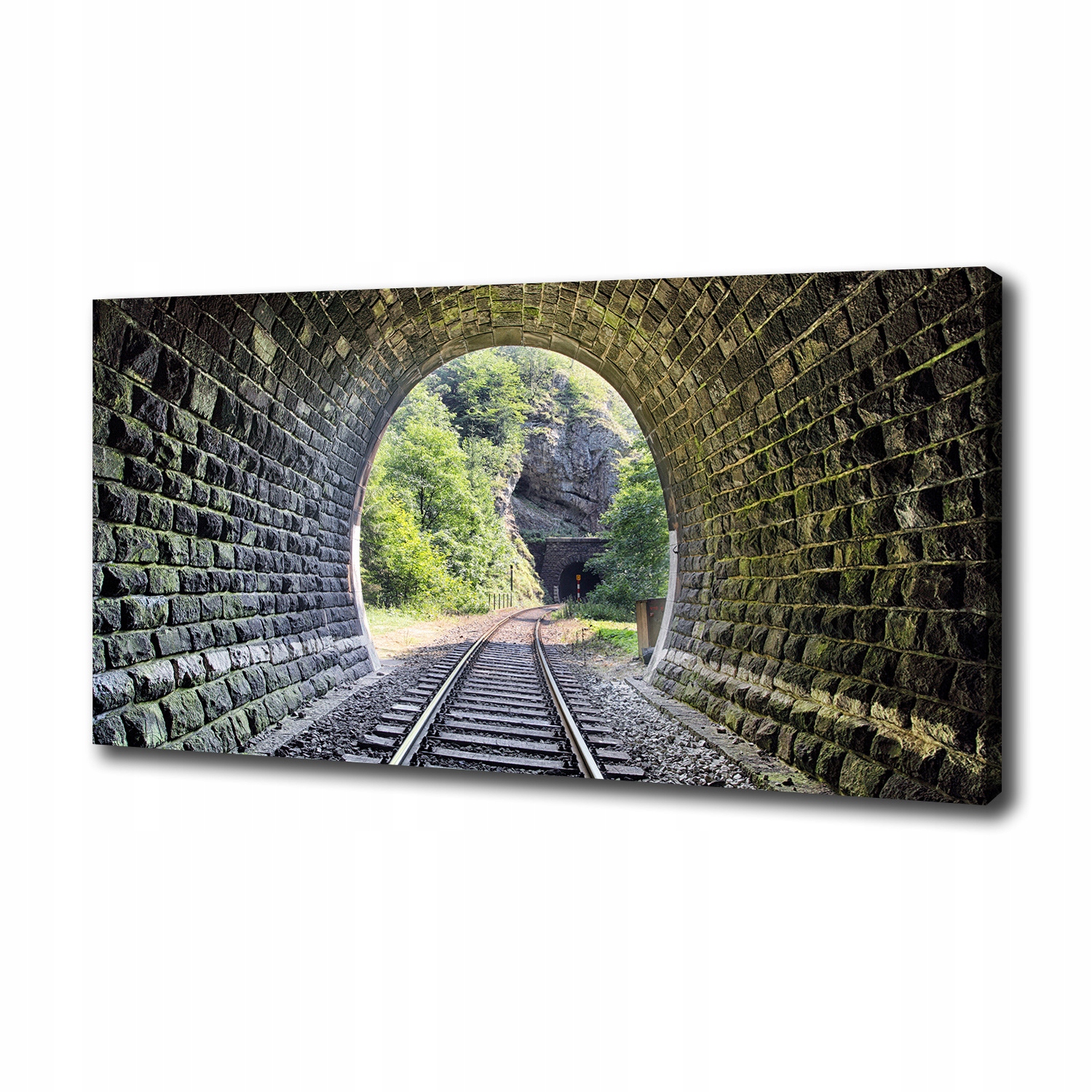 

Foto obraz na płótnie Tunel kolejowy 100x50 cm