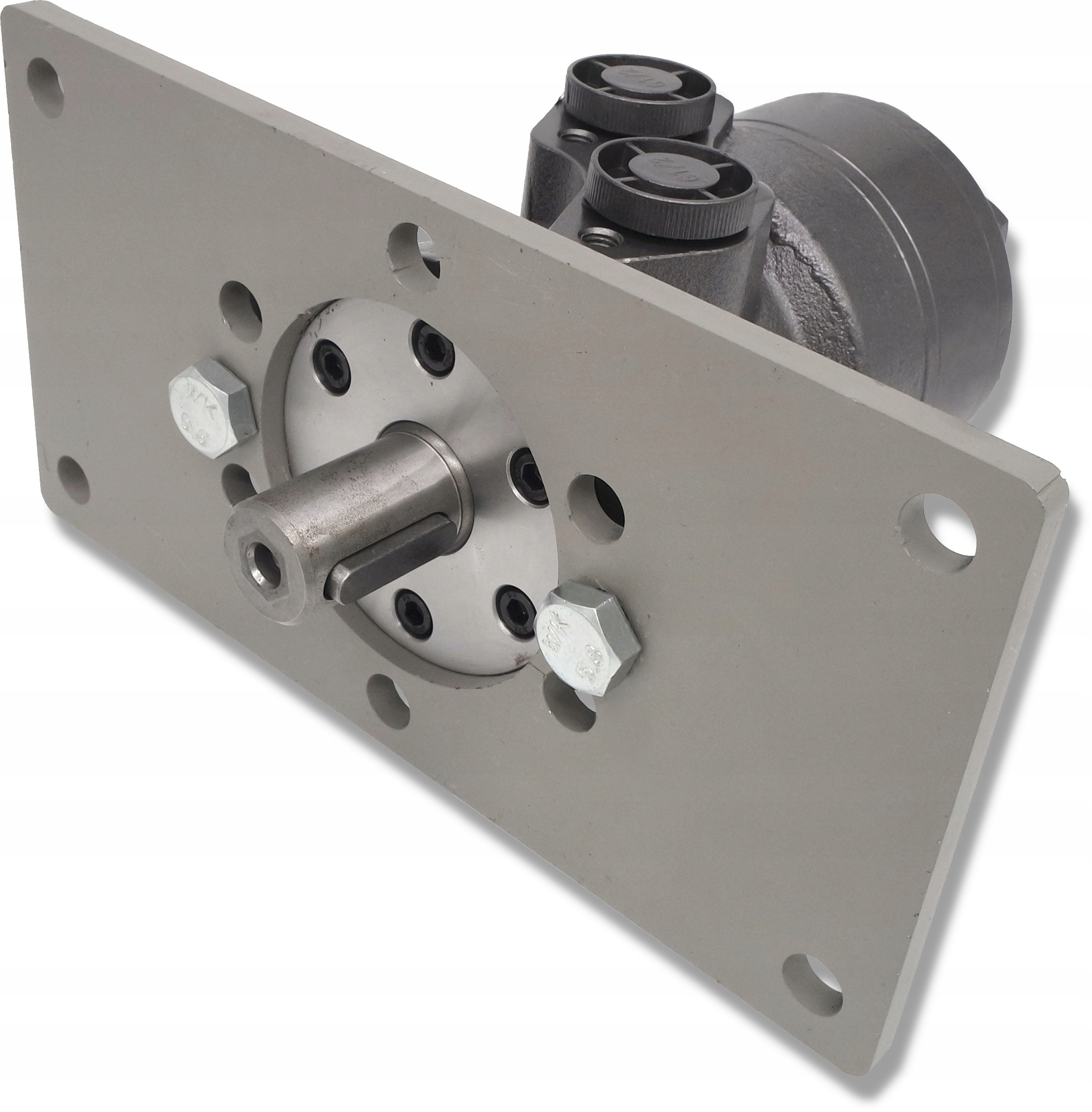 DMR-125-25X-S2-S8 - Гідравлічний двигун 125 см3 GR2 фланець кріплення