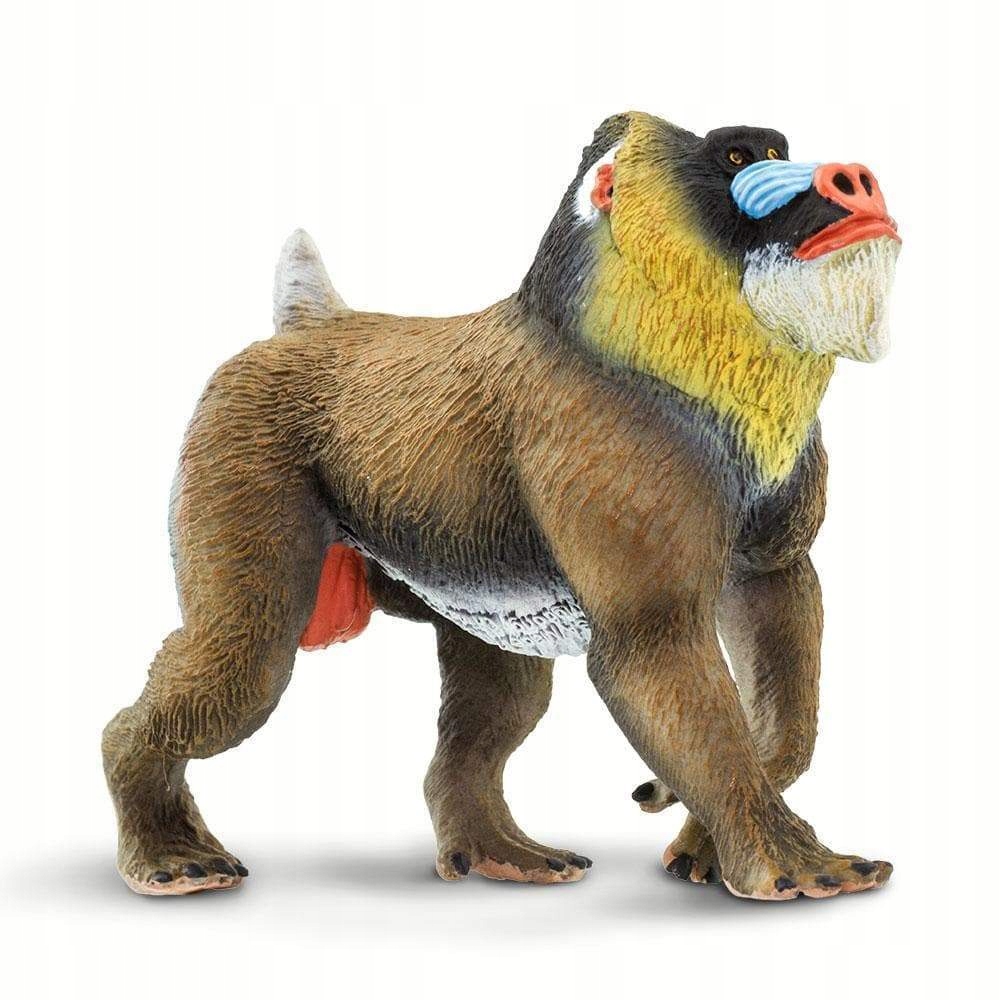 

Madryl Barwnolicy Mandrill Safari Ltd. 100273