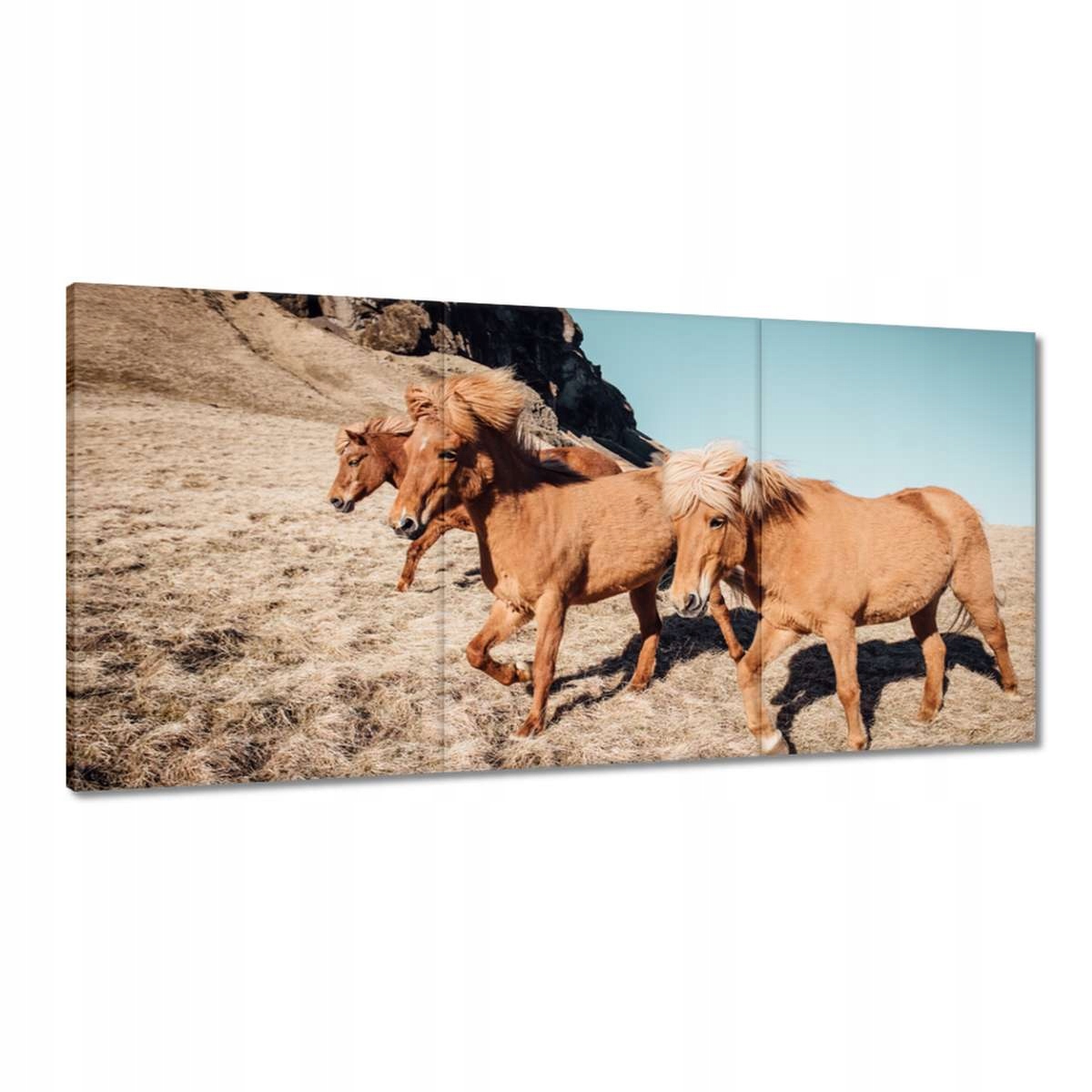 Obrazy 180x90 Kôň Kone Jazdenie