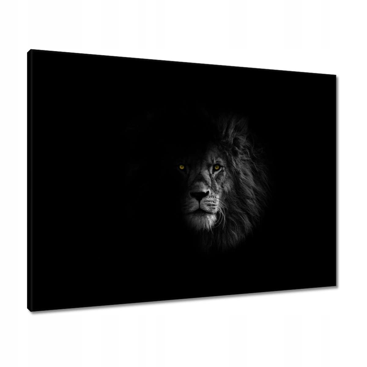 Obrazy 80x60 Lev ve stínu Král