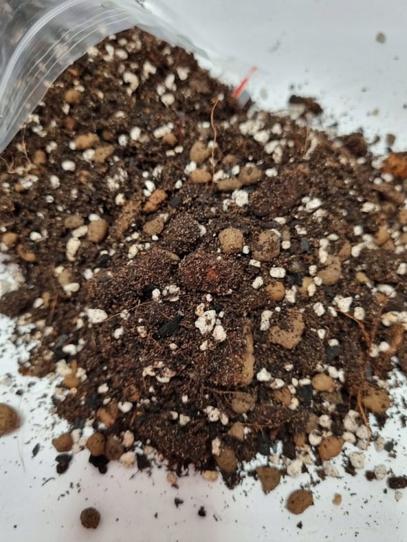 Podłoże, ziemia do roślin, Hoya, Peperomia, Zamioculcas 3 L Marka inna