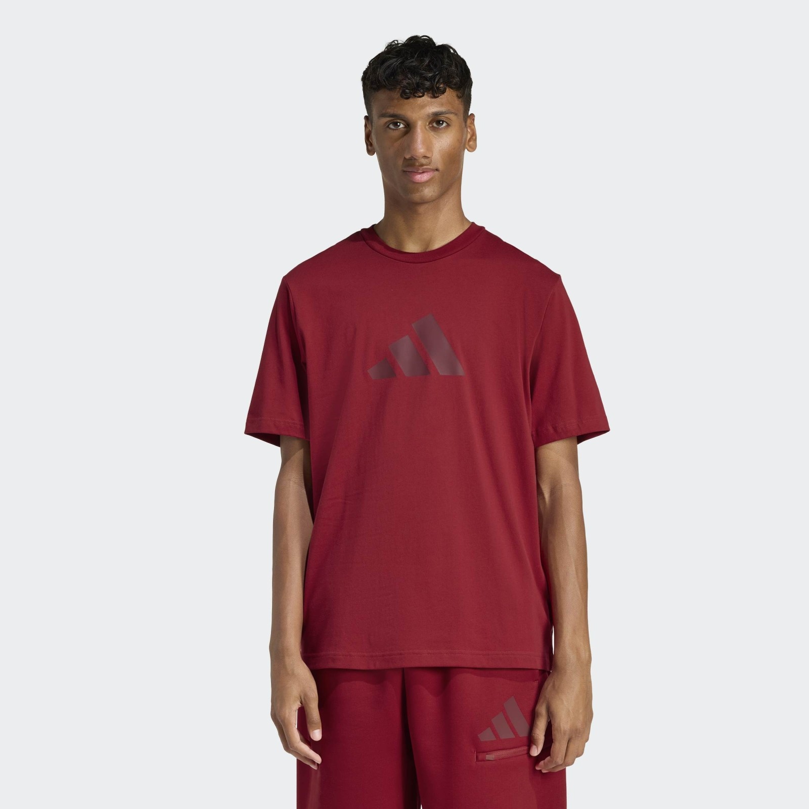 Pánské triko adidas Future Icons Small Logo Tee