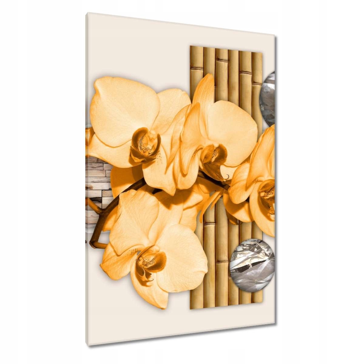 Obrazy 80x120 Oranžový orchidej