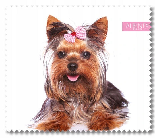 

Ściereczka Do Okularów Albinex Mikrofibra Z Wzorem