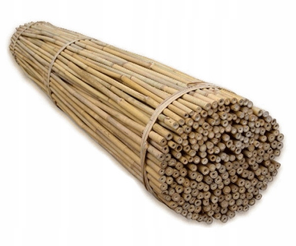 

Tyczki bambusowe bambusy 10-12mm 120cm 20szt