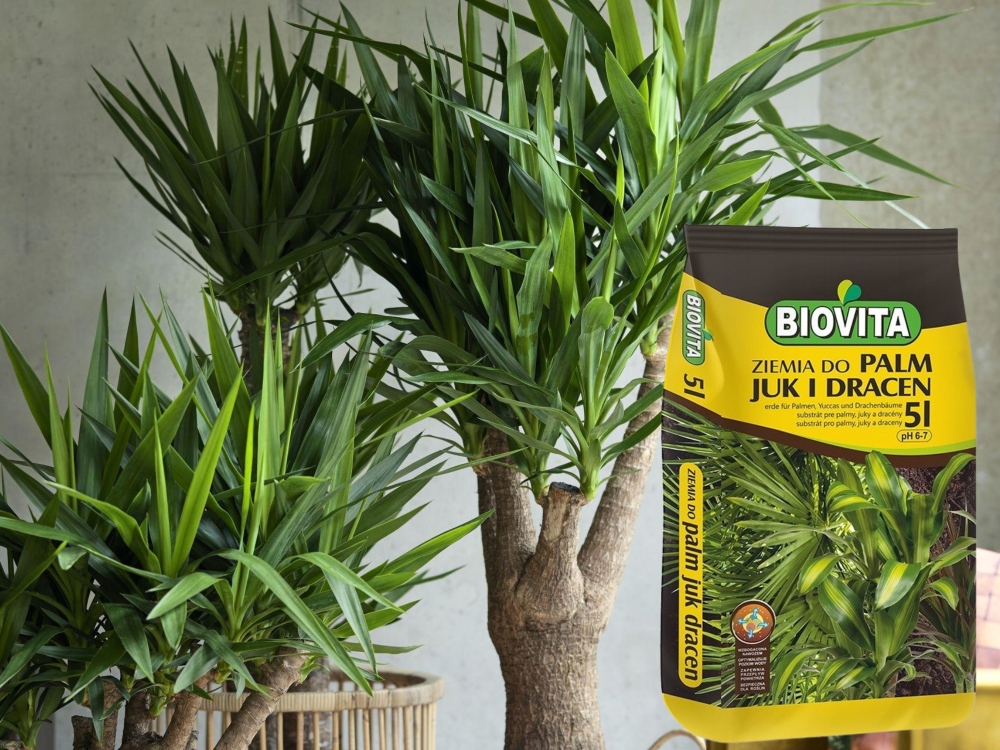 ZIEMIA PODŁOŻE DO ROŚLIN PALM JUK DRACEN +NAWÓZ 5L Pojemność 5 l