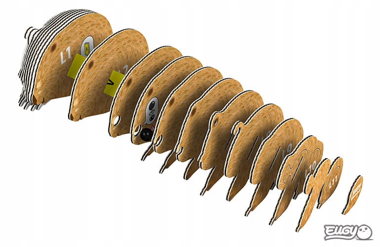 Wombat Eugy. Eko Układanka Puzzle 3D. Liczba elementów 36