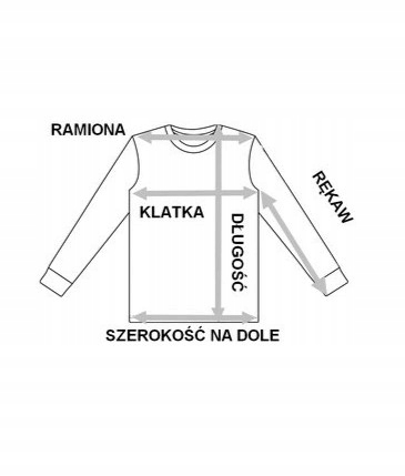 FSBN T-shirt Koszulka BIAŁA SLIM FIT L Kotwiczki 12132576281 - Allegro.pl