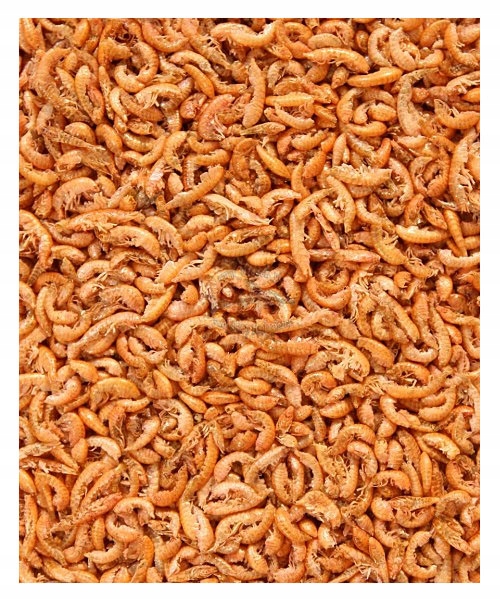 Levně Gammarus, sibiřský sušený 5 litrů