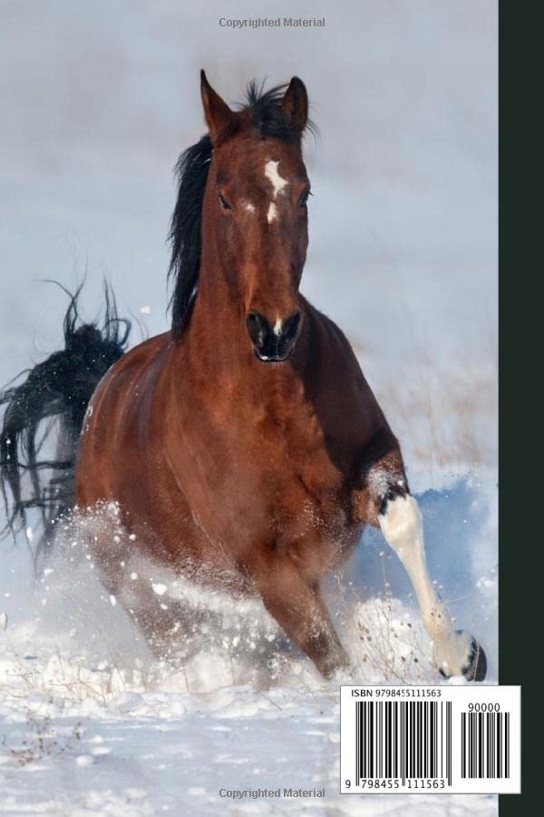 Neubauer, Sebastian Password Tracker: Password Book, Password Log Book and Język publikacji angielski