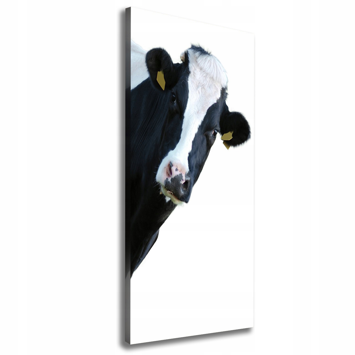 

Foto obraz na płótnie Łaciata krowa 50x125 cm