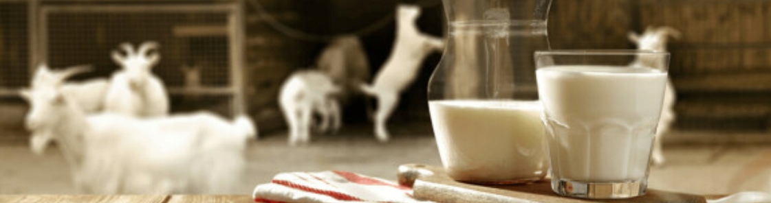 ZIAJA KOZIE MLEKO KREM ODŻYWCZO-WYGŁADZAJĄCY 2 Wielkość Produkt pełnowymiarowy