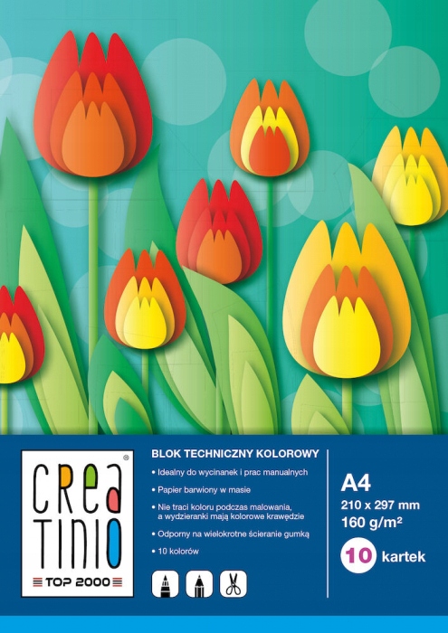 

Creatinio Blok Techniczny A4 10 kartek kolorowy