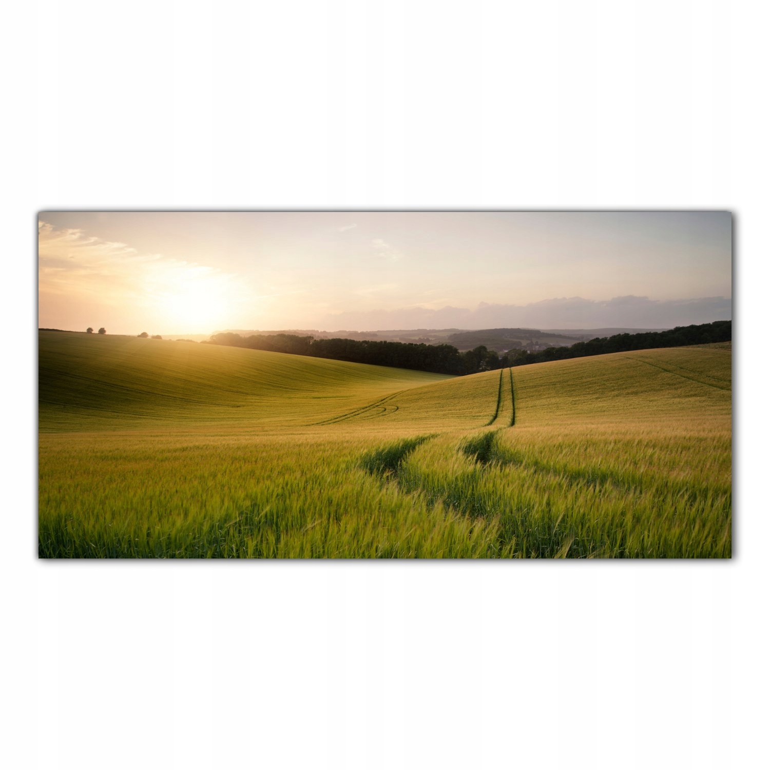 

Obraz na szkle Foto Krajobraz Pole Pszenicy 120x60