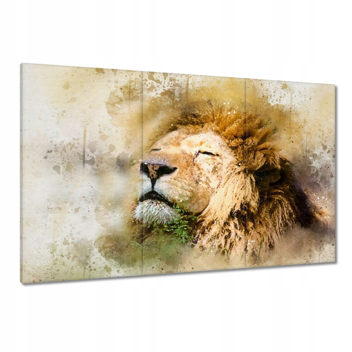 Obrazy 120x80 Lev