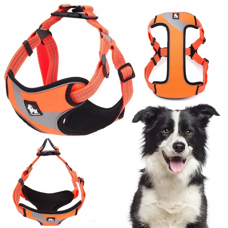 Levně Obojky Pro Psa Typu Step-in Lehké Reflexní Truellove Daily Plus Oranžové L