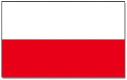 PROFESJONALNY PRZEMYSŁOWY OSUSZACZ WILGOCI 50L/24H Moc 900 W